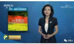 郑州万科城最新爆料,揭秘未来城市生活新标杆